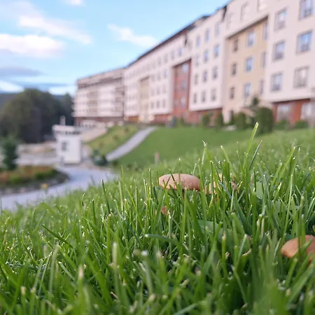 Vistanova Milmari S33