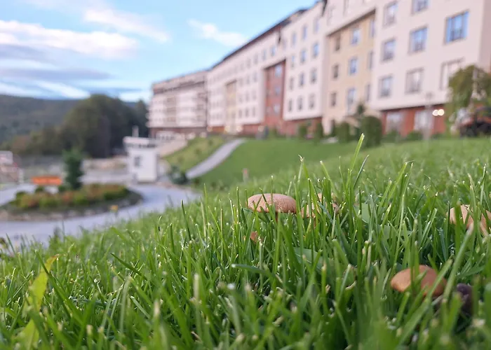 Vistanova Milmari S33